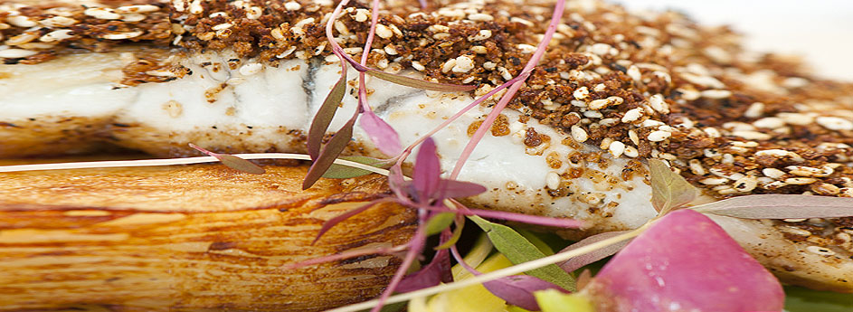 Spice Crusted Barramundi